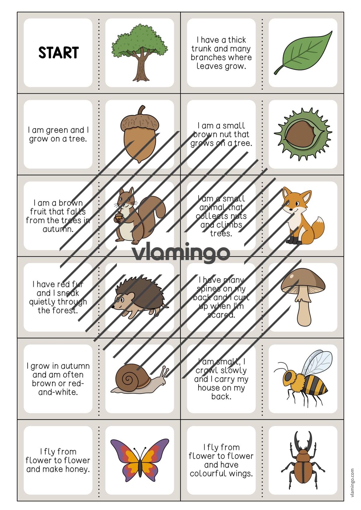 de englisch forest reading domino 003