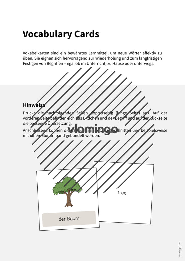 de englisch forest vocabulary cards 002