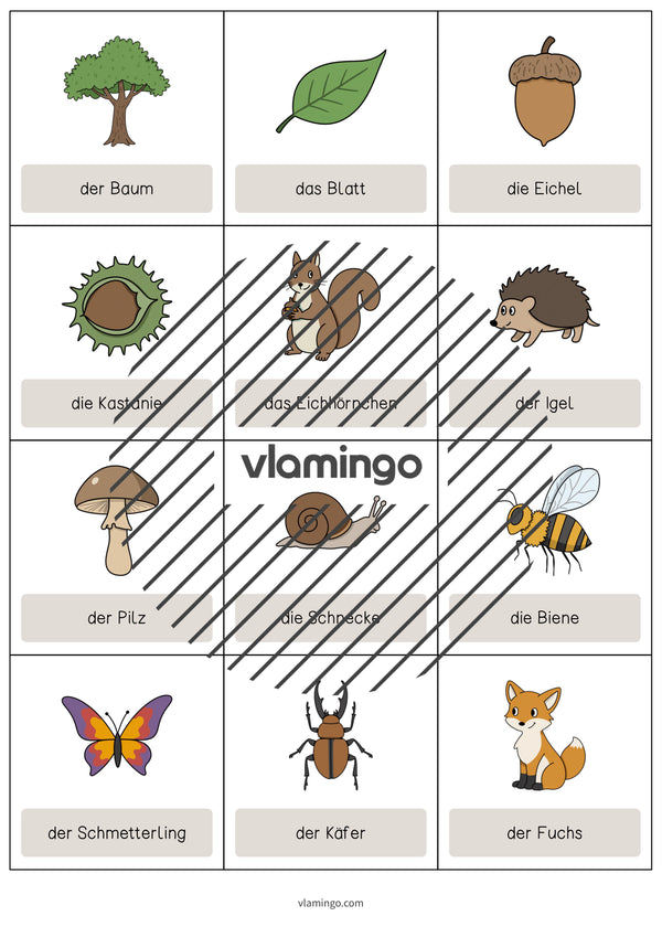 de englisch forest vocabulary cards 003