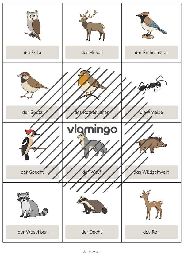 de englisch forest vocabulary cards 005