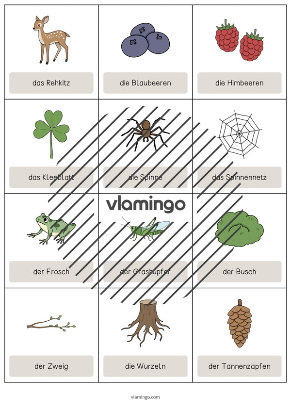 de englisch forest vocabulary cards 007