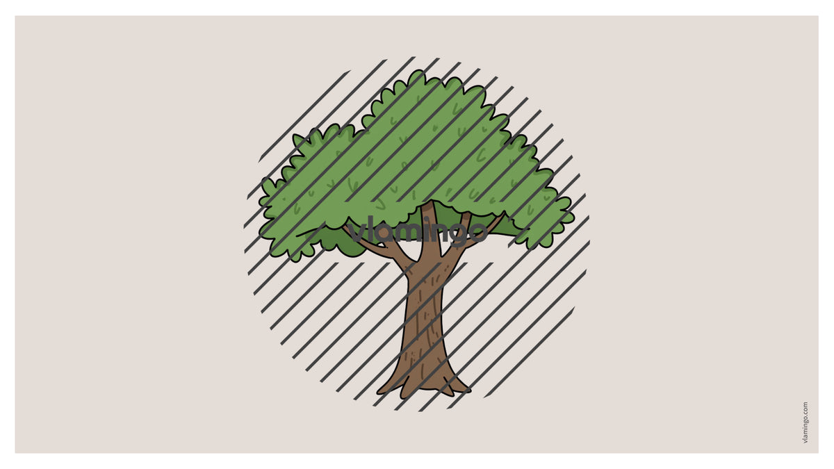 de englisch forest vocabulary fitness powerpoint 004
