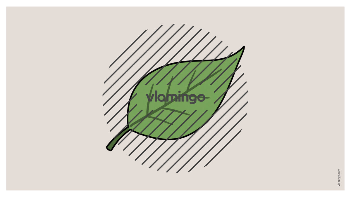 de englisch forest vocabulary fitness powerpoint 005