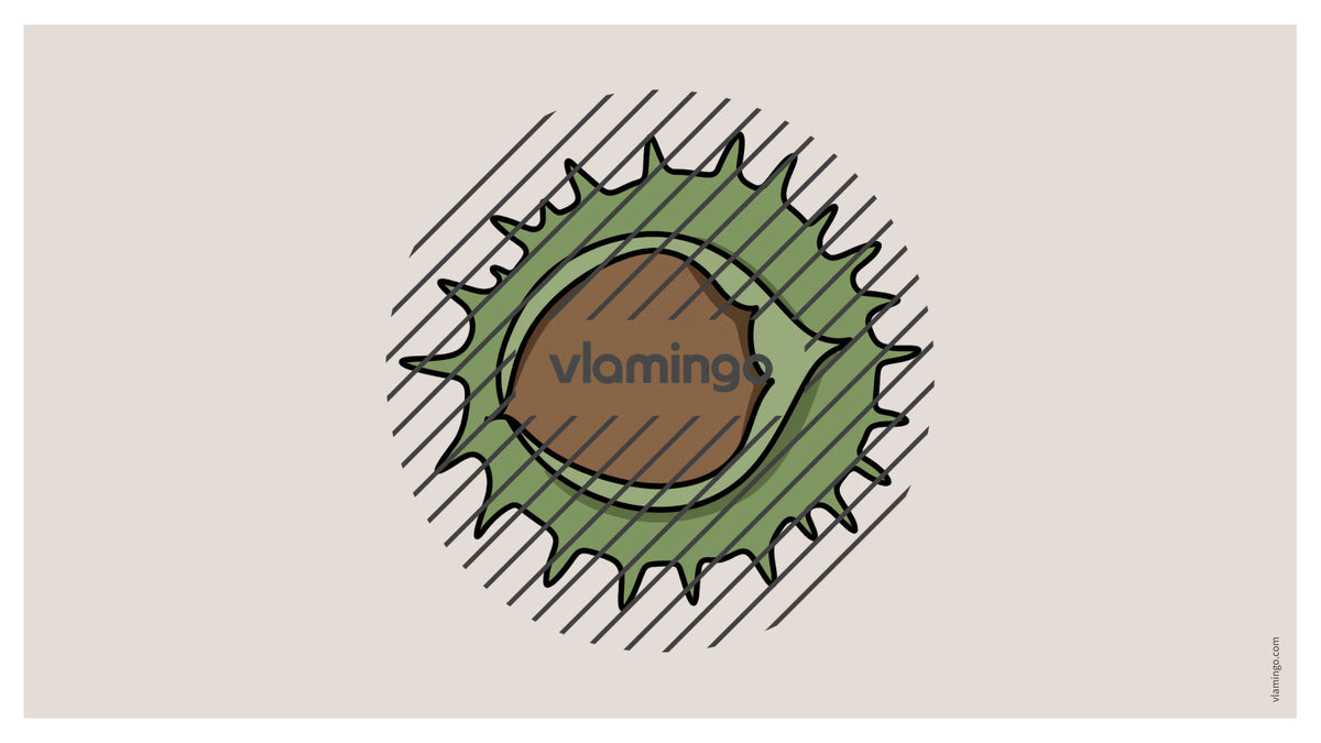 de englisch forest vocabulary fitness powerpoint 008