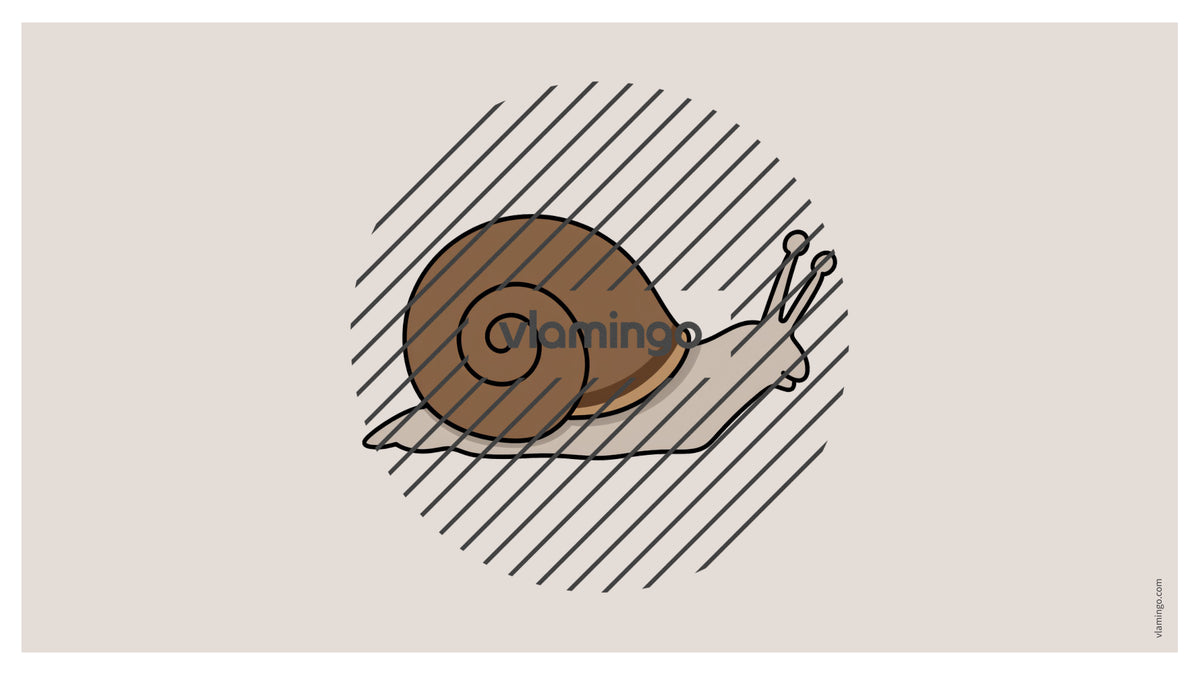 de englisch forest vocabulary fitness powerpoint 013