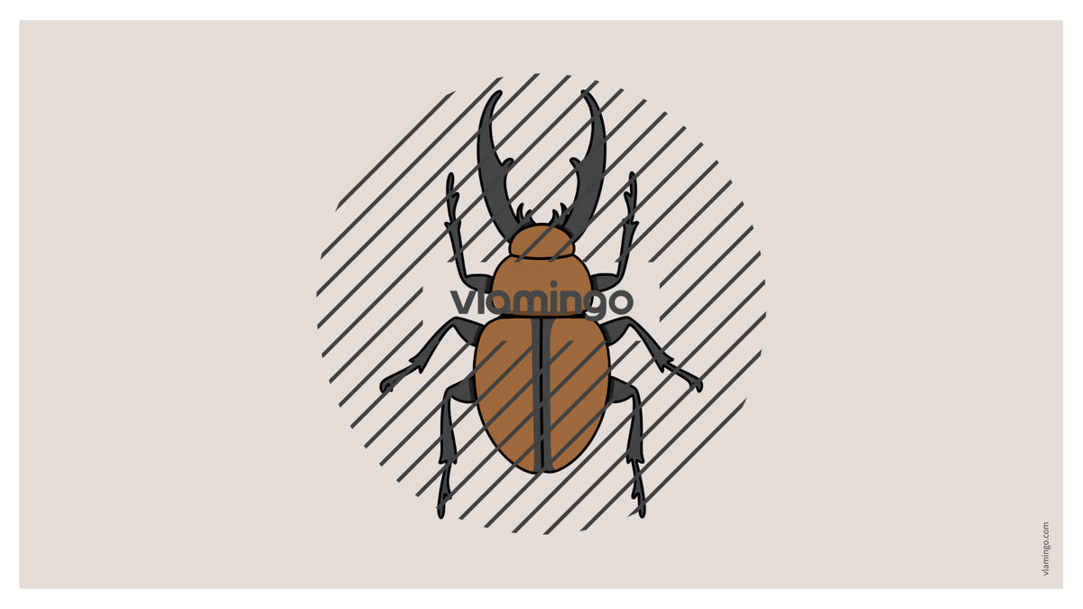 de englisch forest vocabulary fitness powerpoint 017