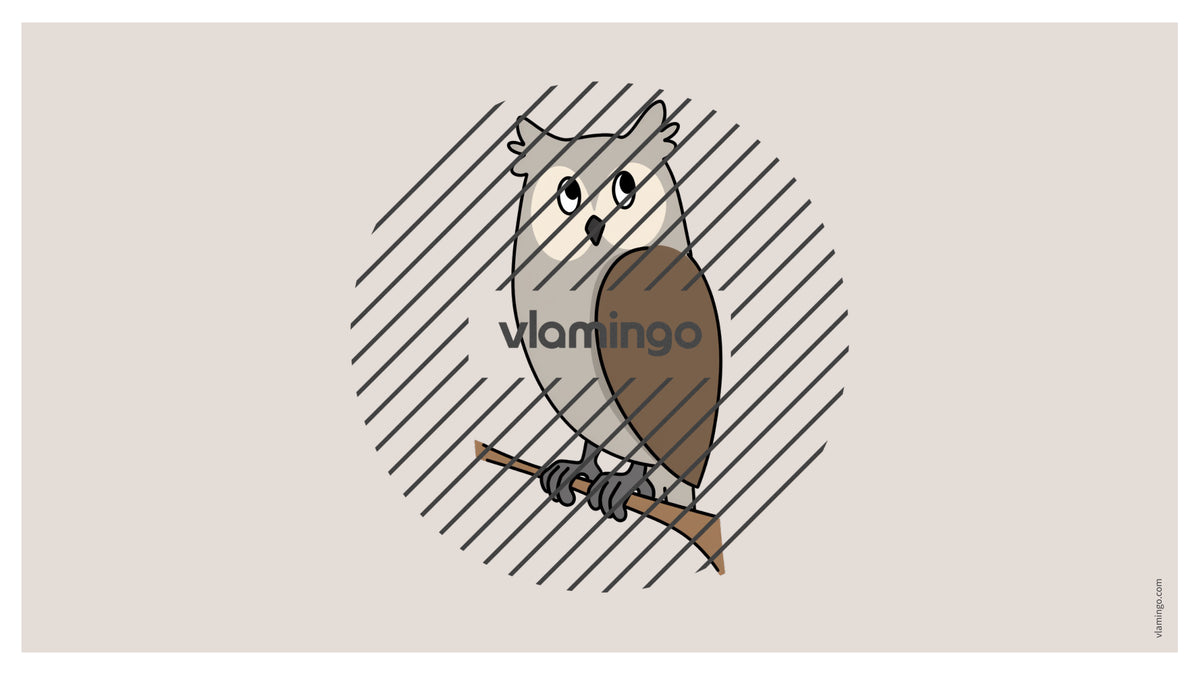 de englisch forest vocabulary fitness powerpoint 020