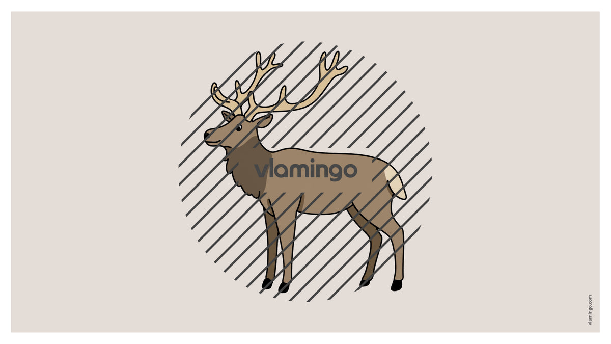 de englisch forest vocabulary fitness powerpoint 021