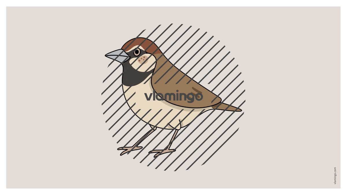 de englisch forest vocabulary fitness powerpoint 024