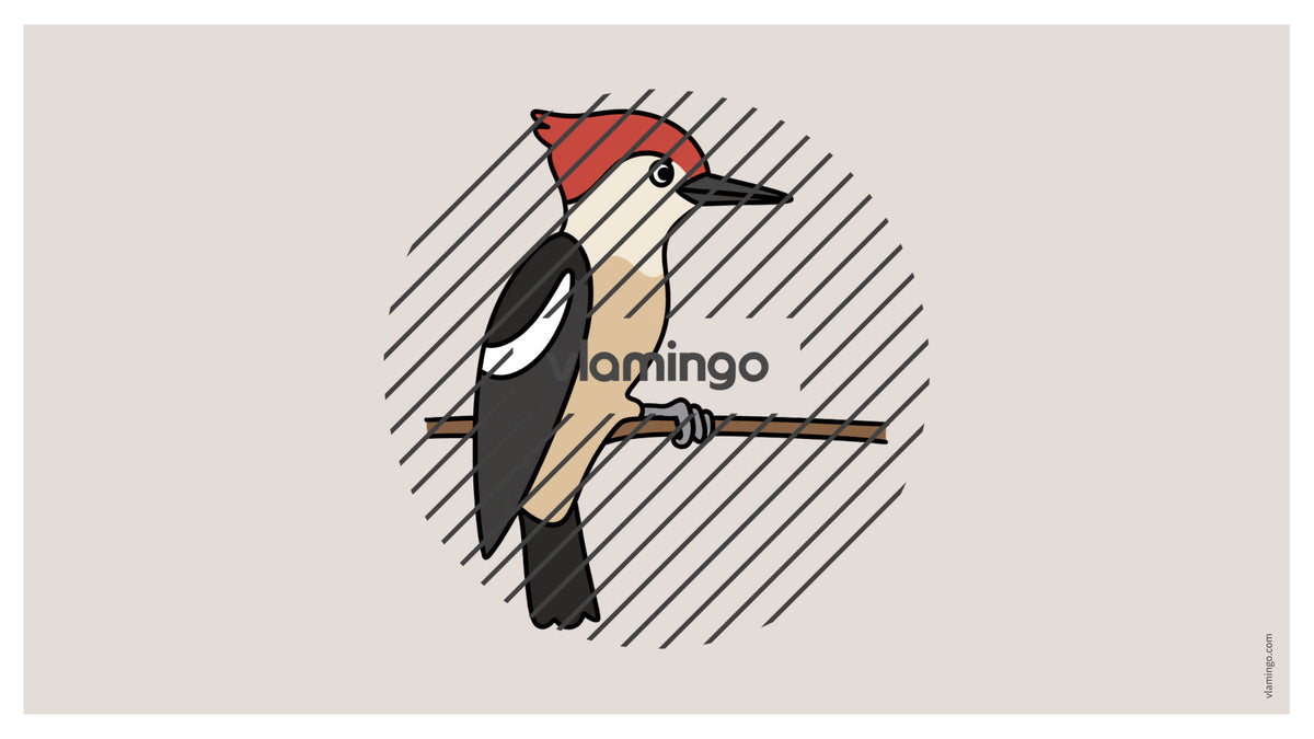 de englisch forest vocabulary fitness powerpoint 028