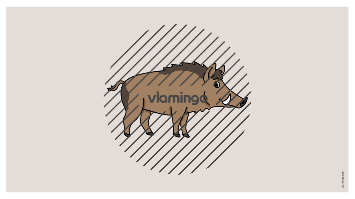 de englisch forest vocabulary fitness powerpoint 030