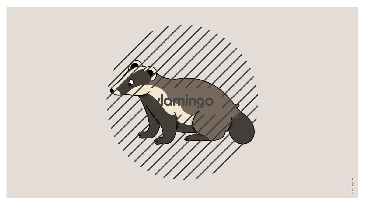 de englisch forest vocabulary fitness powerpoint 033