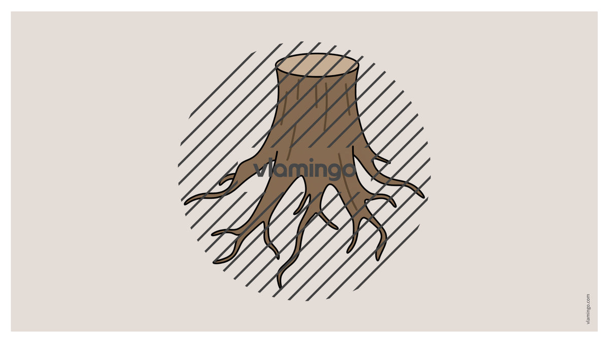 de englisch forest vocabulary fitness powerpoint 049