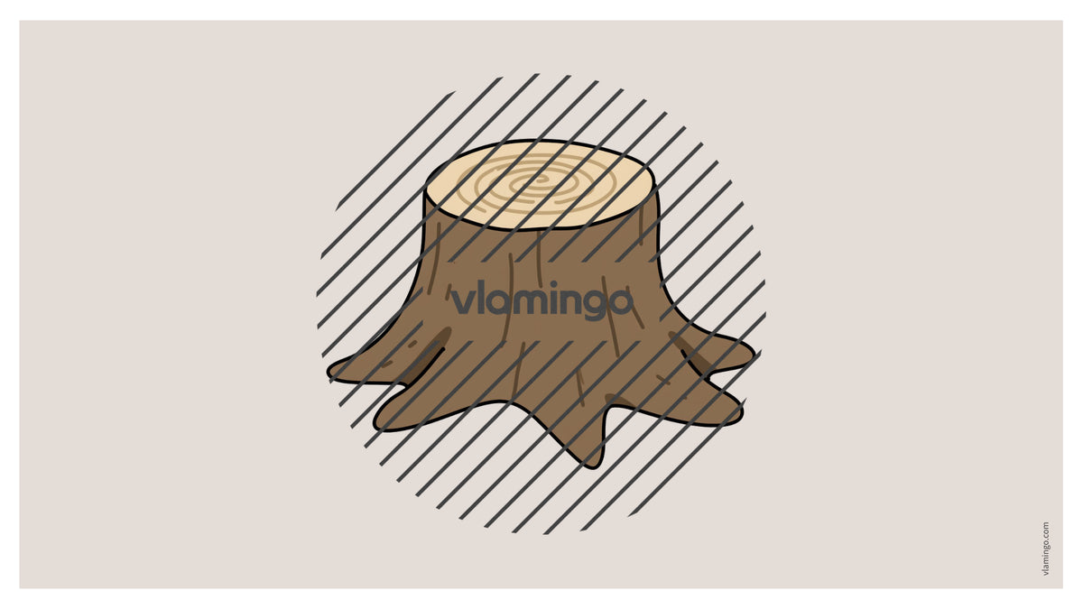 de englisch forest vocabulary fitness powerpoint 052