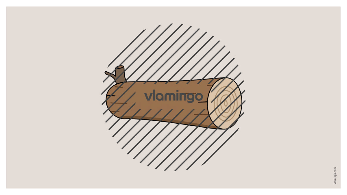de englisch forest vocabulary fitness powerpoint 053
