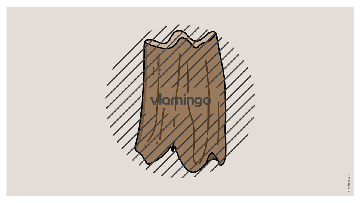 de englisch forest vocabulary fitness powerpoint 054