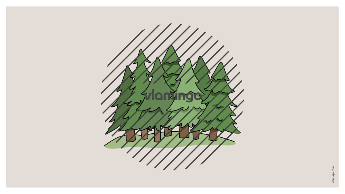 de englisch forest vocabulary fitness powerpoint 056