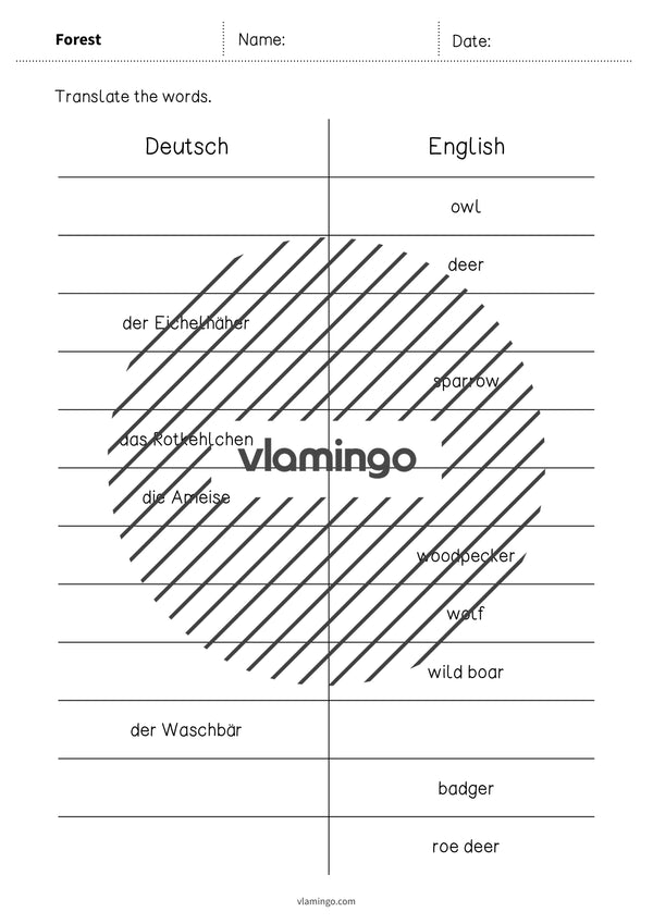 de englisch forest vocabulary mini test 004