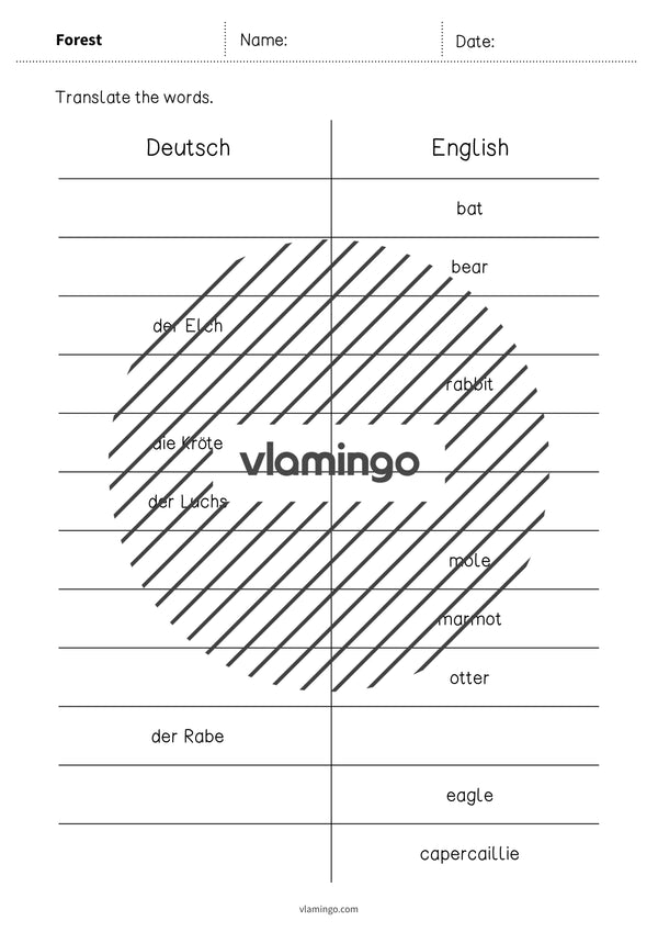 de englisch forest vocabulary mini test 007