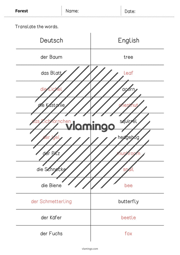 de englisch forest vocabulary mini test 009