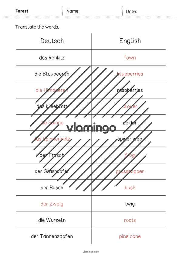 de englisch forest vocabulary mini test 011