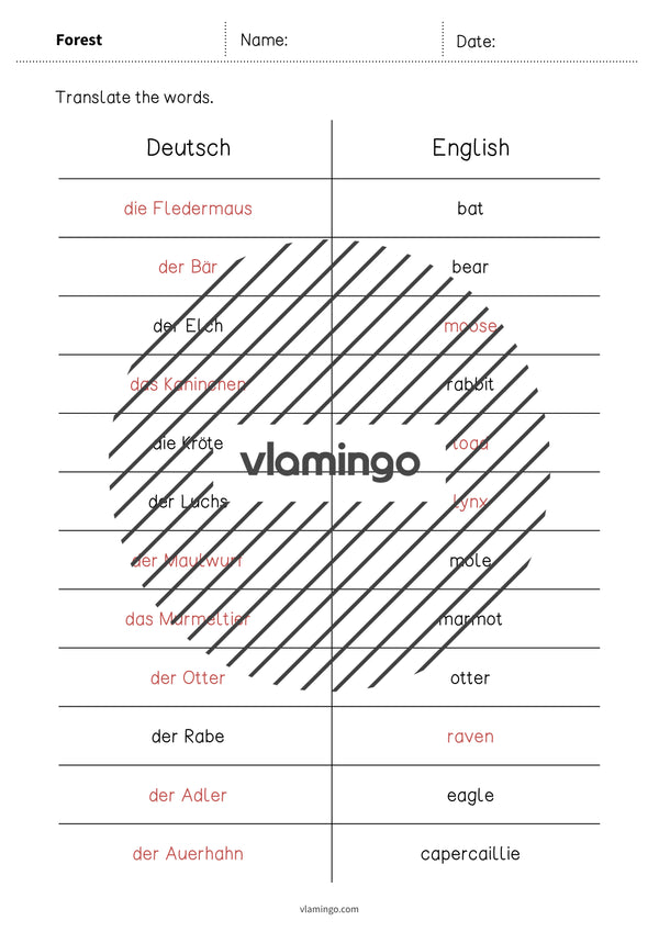 de englisch forest vocabulary mini test 013