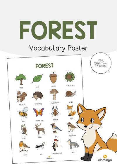 Forest / Wald: Vocabulary Poster (Englisch)
