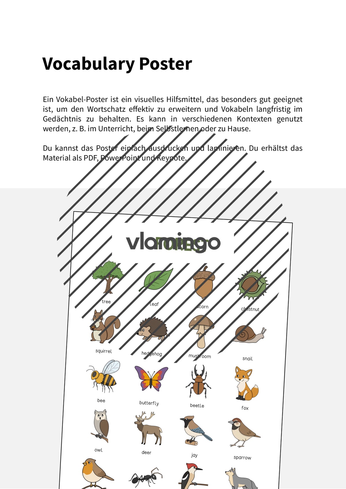 de englisch forest vocabulary poster 002