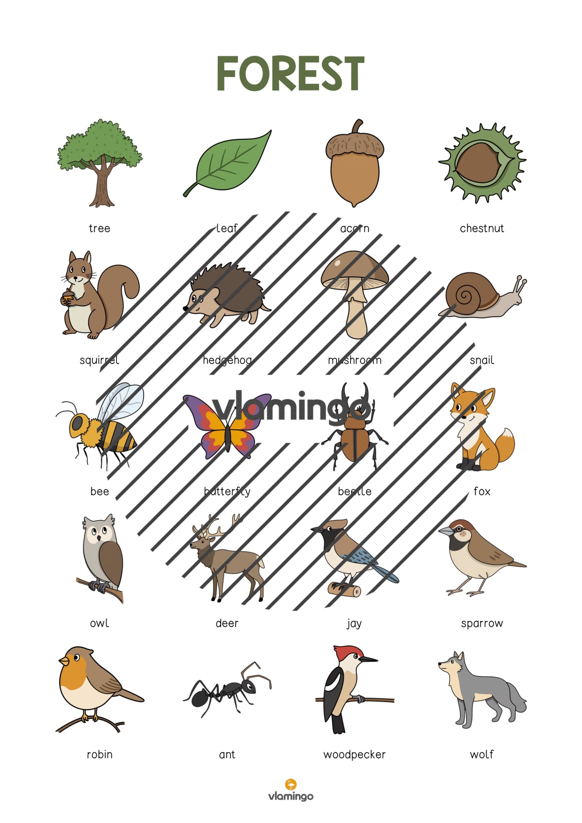 de englisch forest vocabulary poster 003