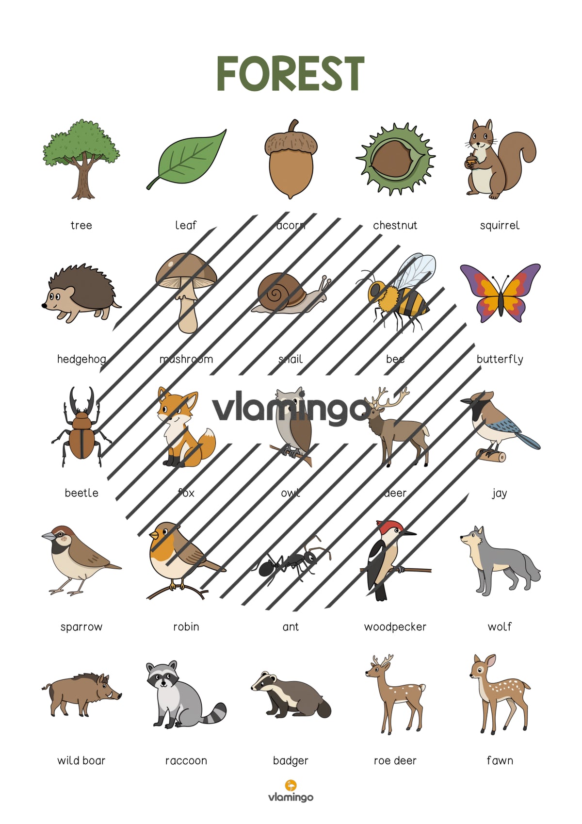 de englisch forest vocabulary poster 004