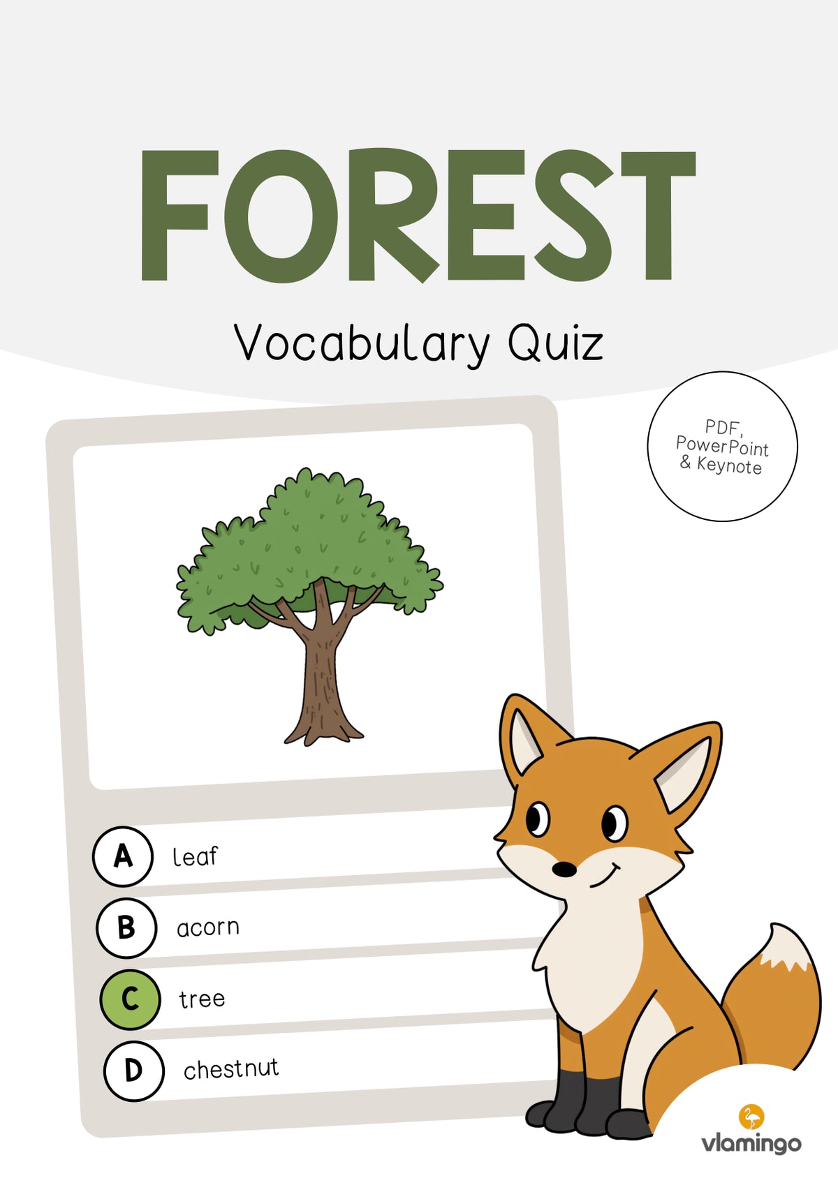 de englisch forest vocabulary quiz 001