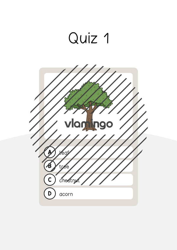 de englisch forest vocabulary quiz 004