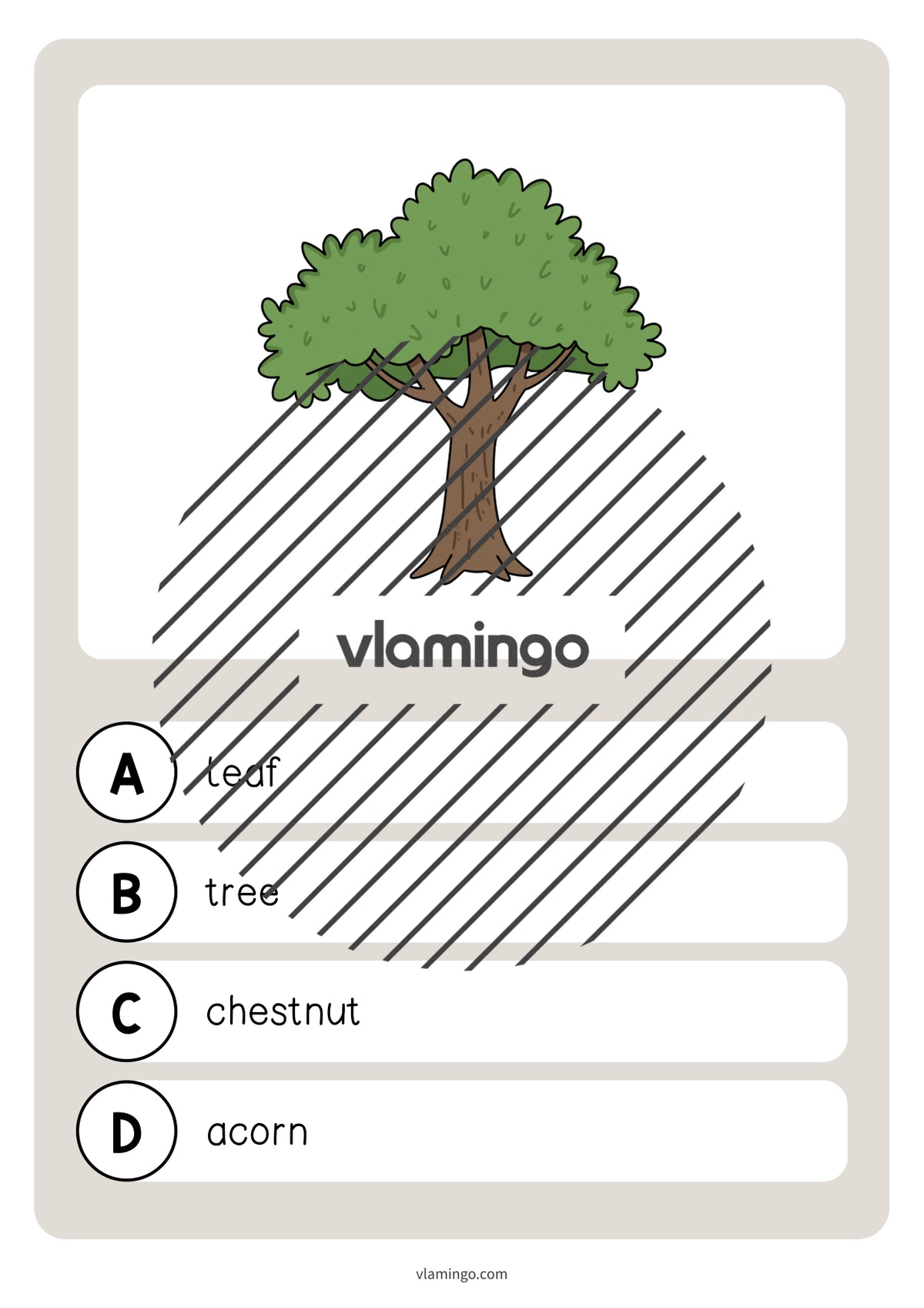 de englisch forest vocabulary quiz 005