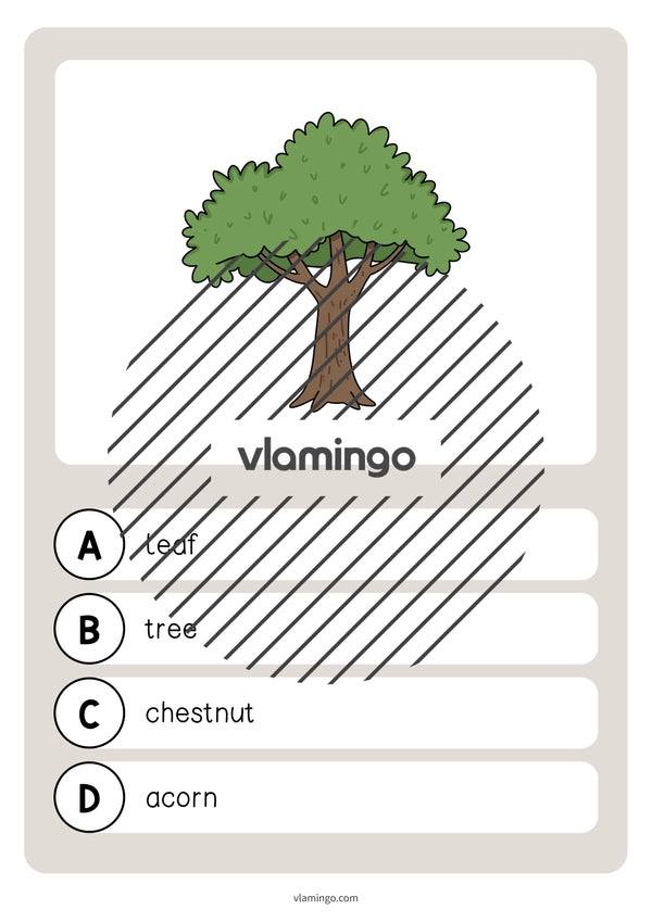 de englisch forest vocabulary quiz 005