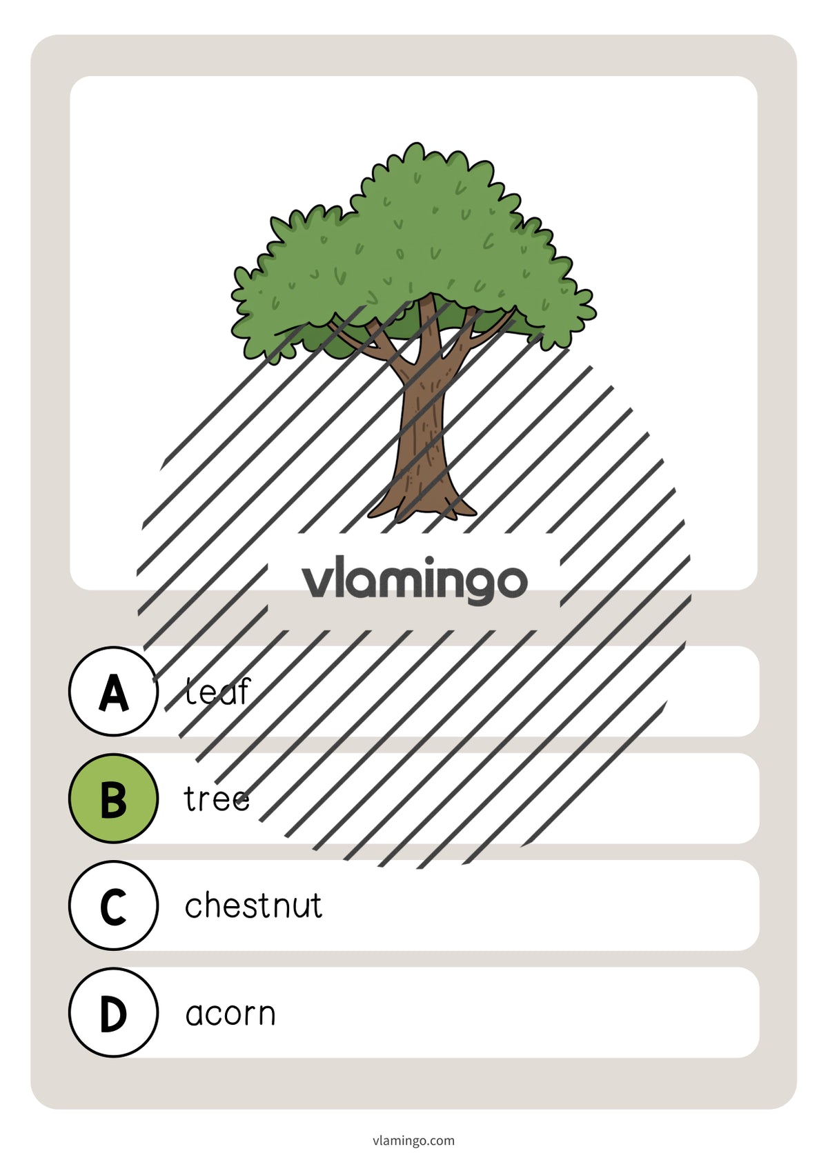 de englisch forest vocabulary quiz 006