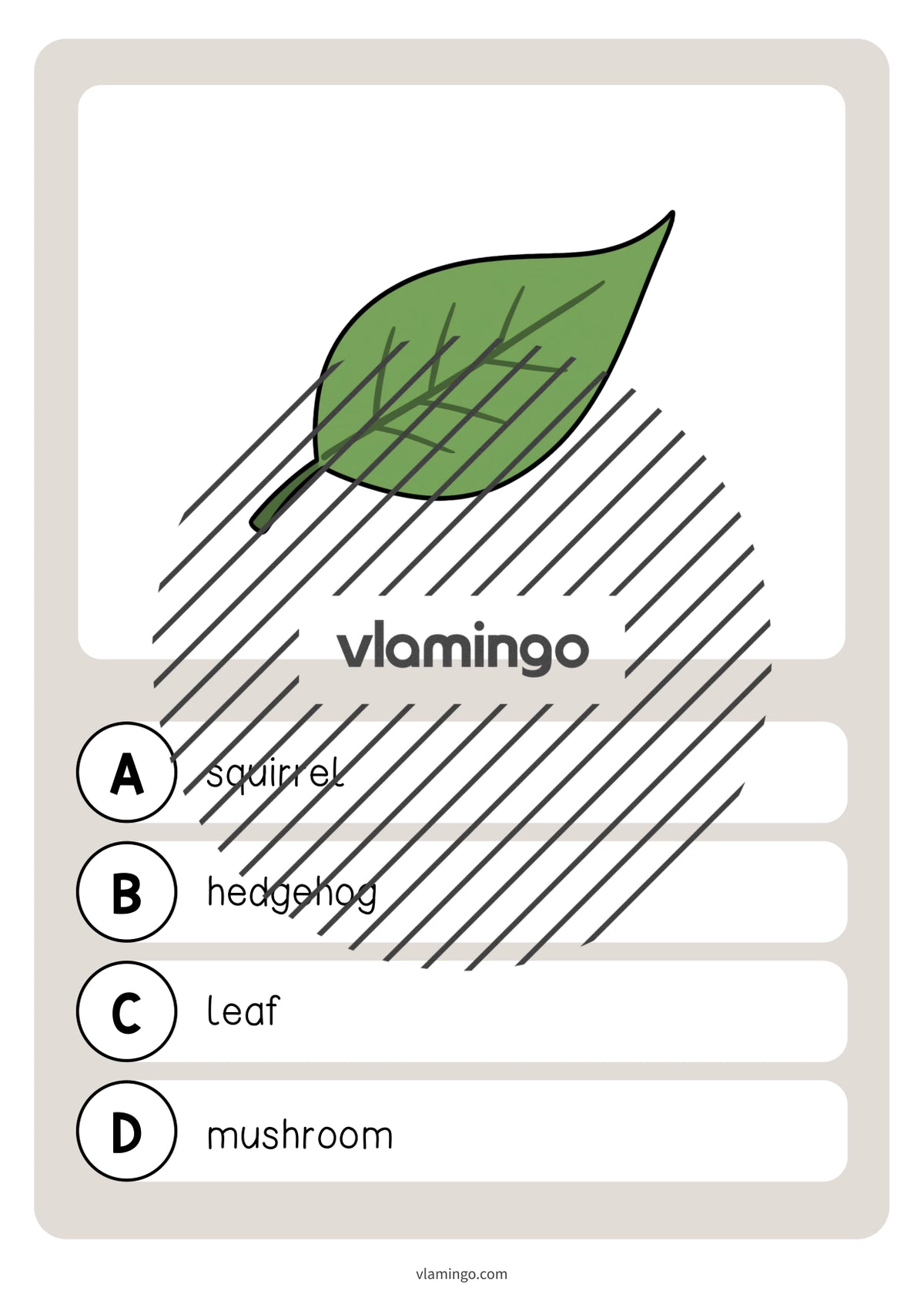 de englisch forest vocabulary quiz 007