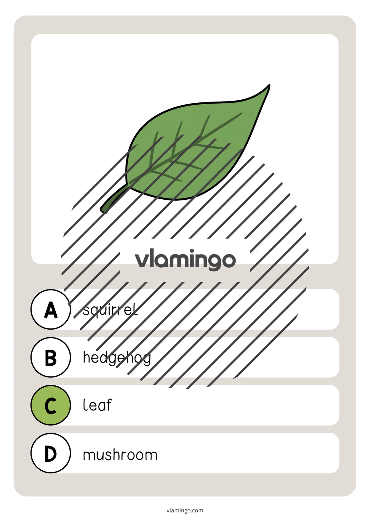 de englisch forest vocabulary quiz 008