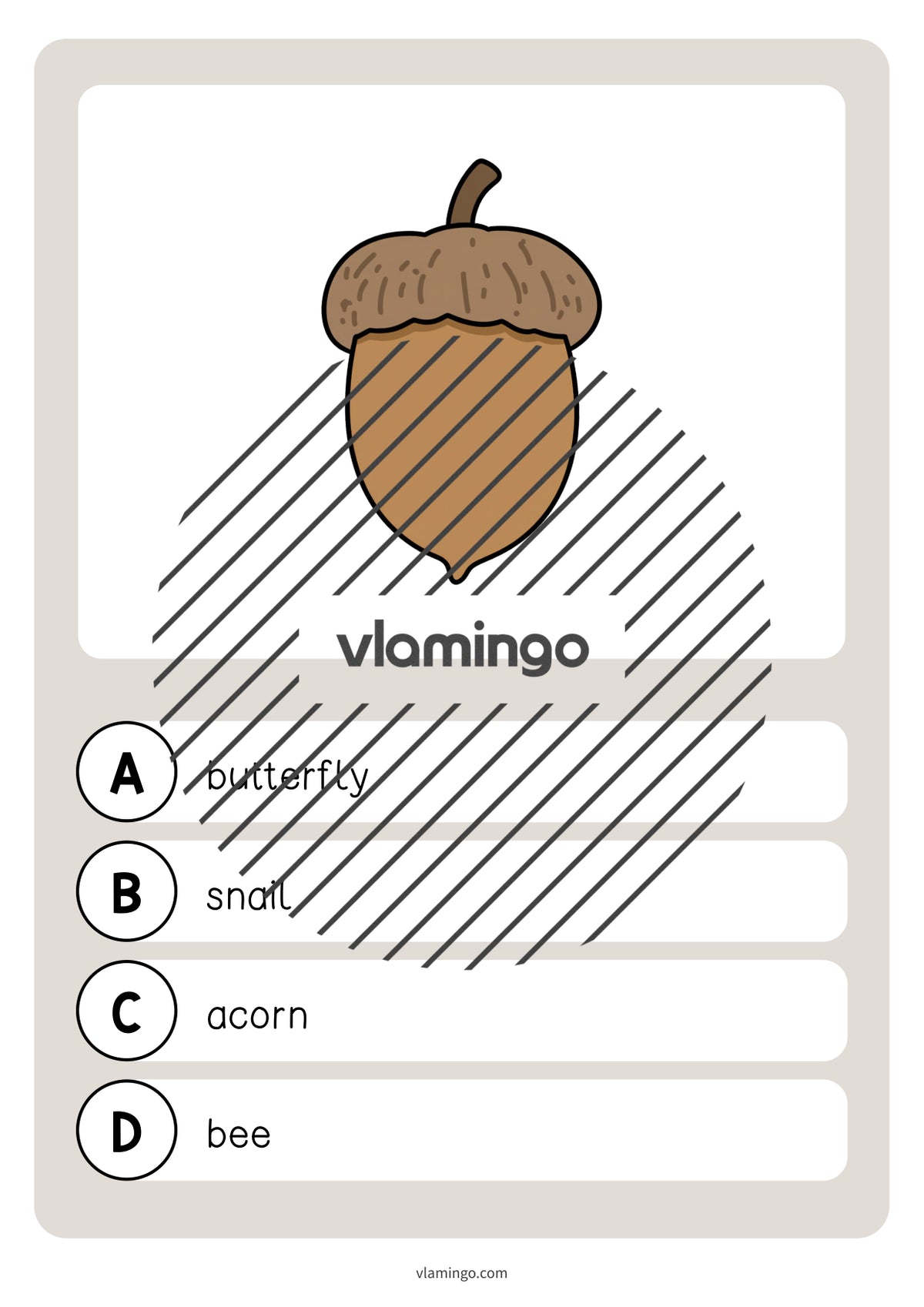 de englisch forest vocabulary quiz 009