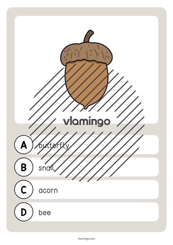 de englisch forest vocabulary quiz 009