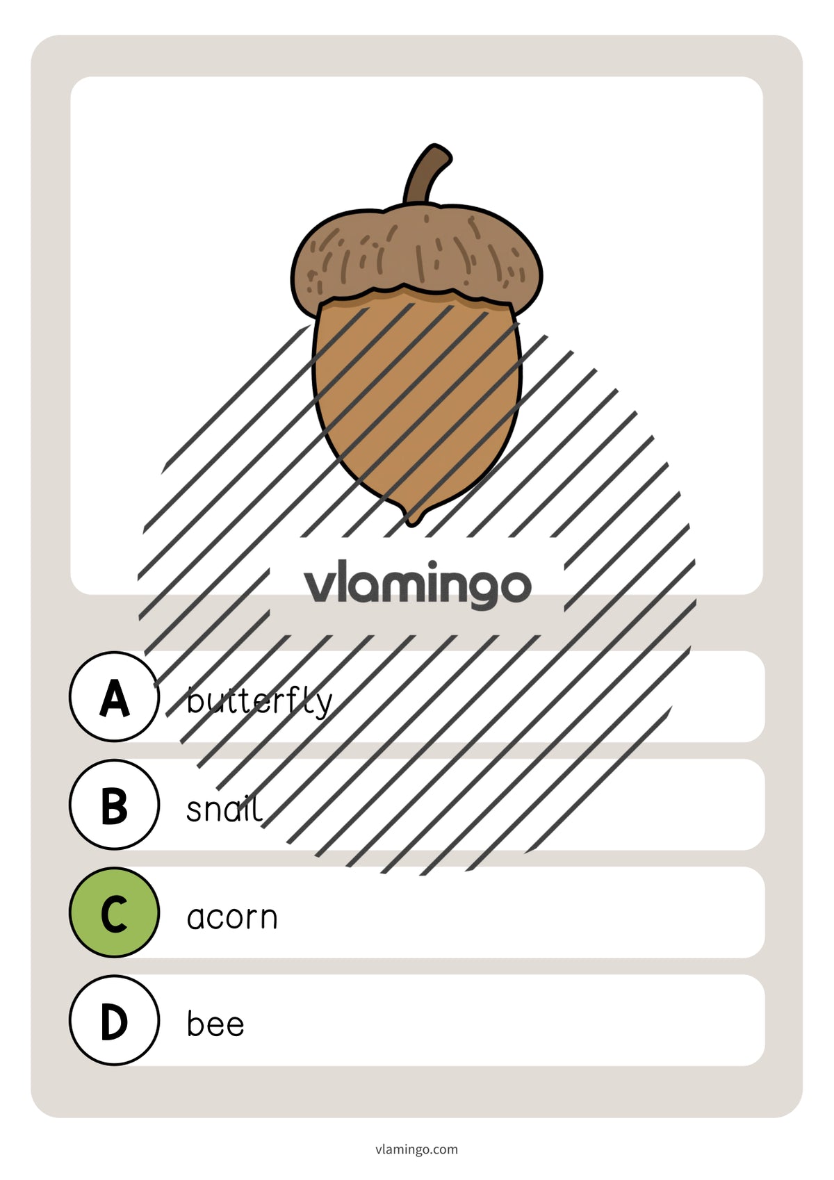 de englisch forest vocabulary quiz 010