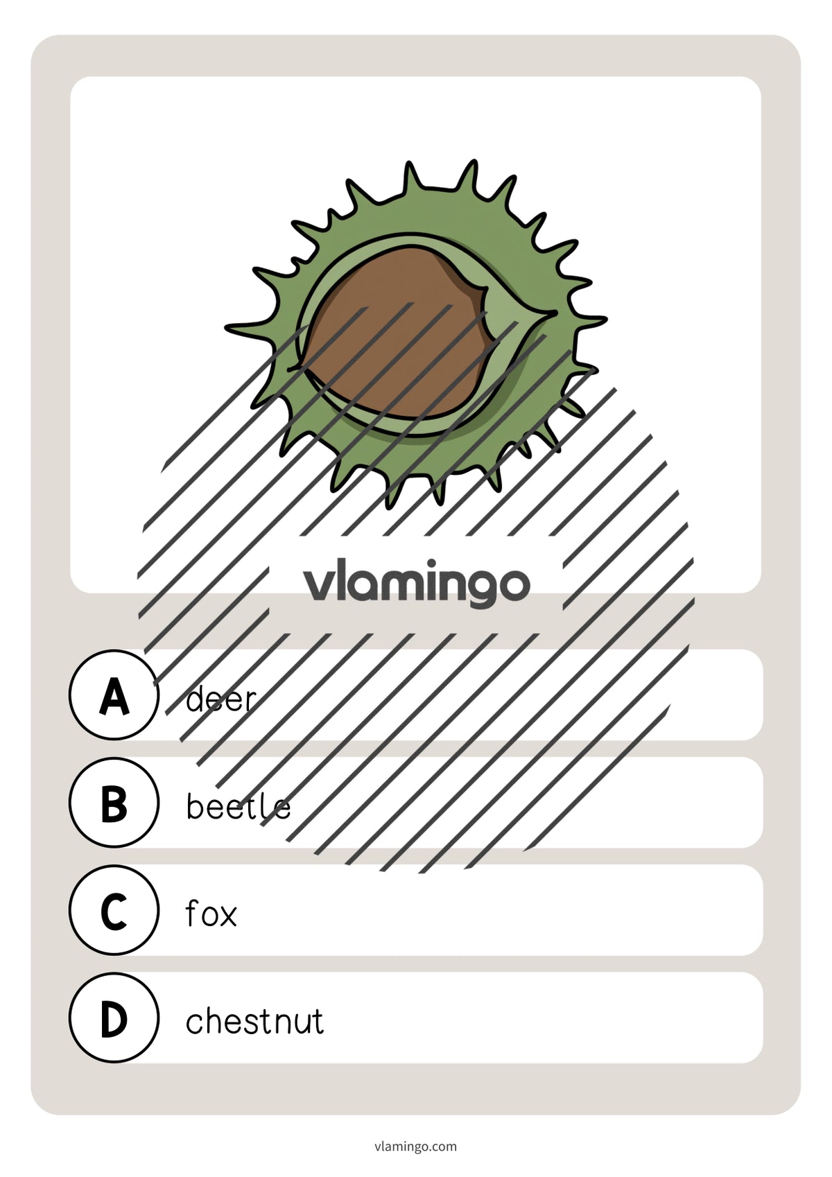 de englisch forest vocabulary quiz 011