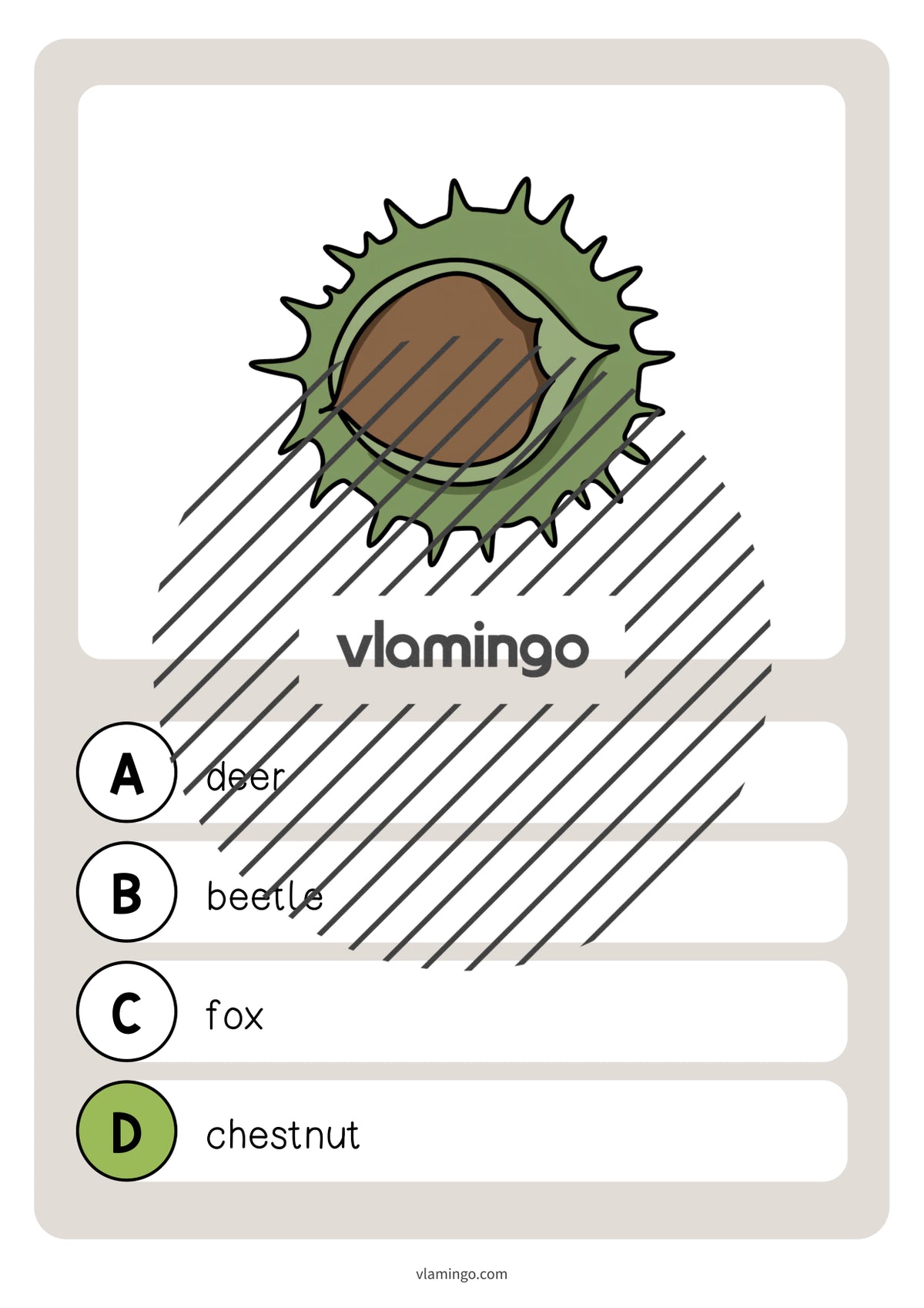 de englisch forest vocabulary quiz 012