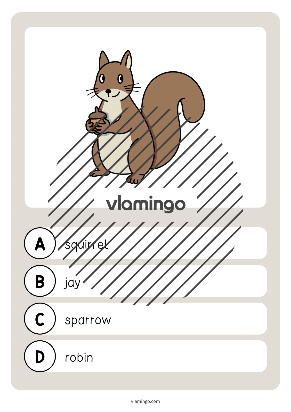 de englisch forest vocabulary quiz 013