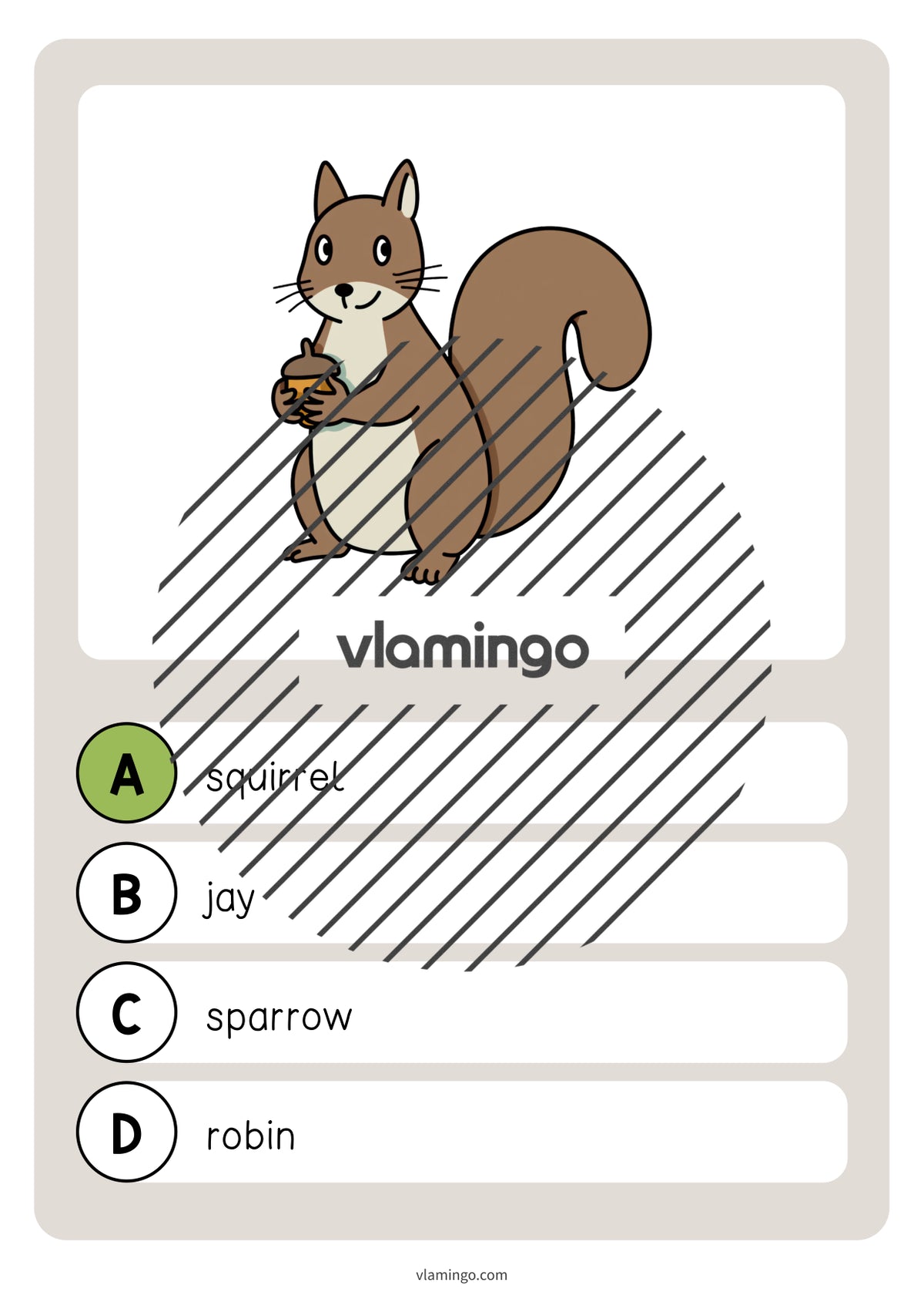 de englisch forest vocabulary quiz 014