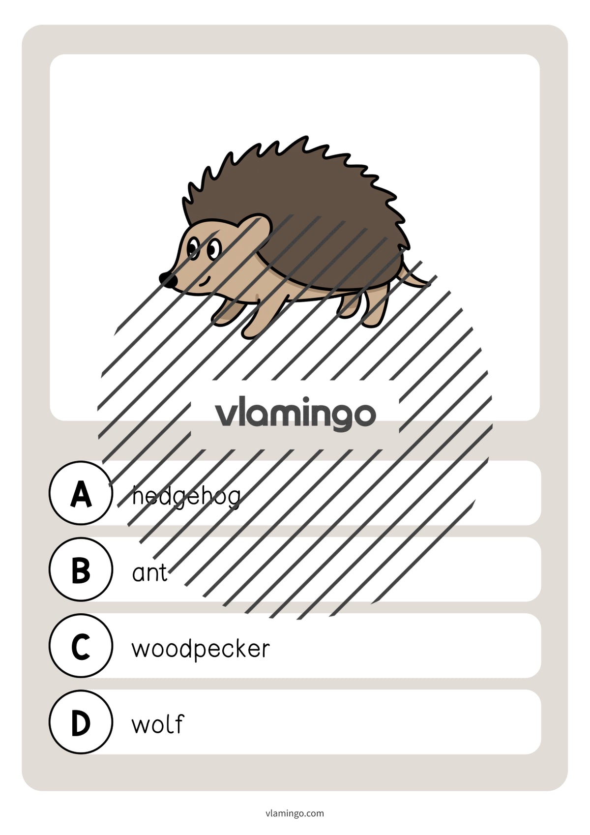 de englisch forest vocabulary quiz 015