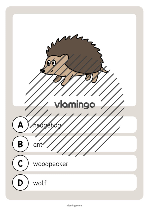 de englisch forest vocabulary quiz 015