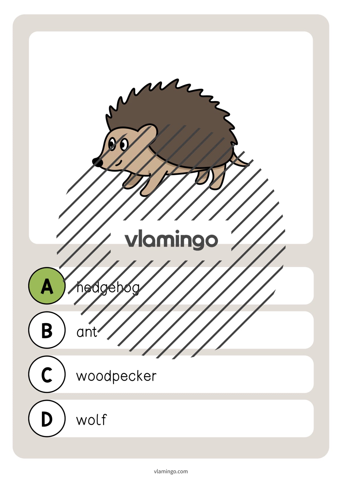 de englisch forest vocabulary quiz 016