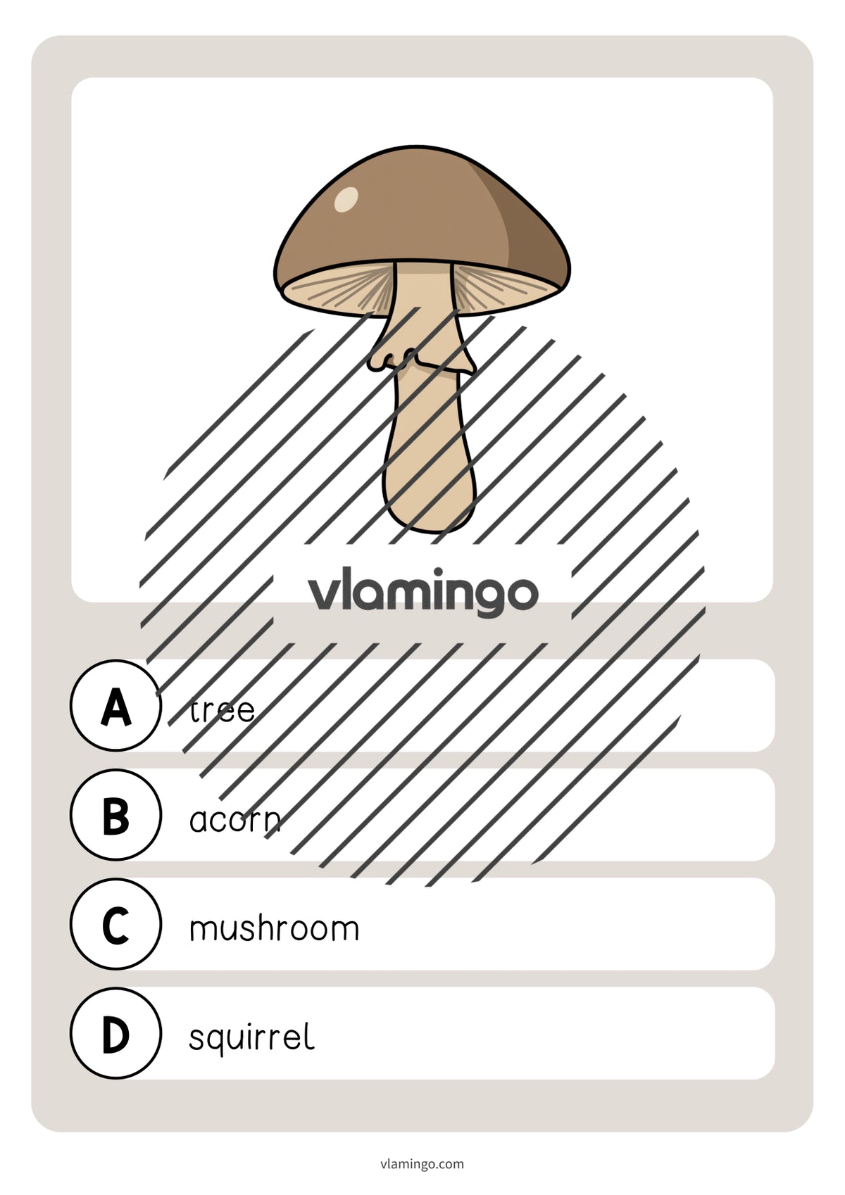 de englisch forest vocabulary quiz 017