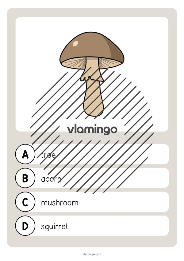 de englisch forest vocabulary quiz 017