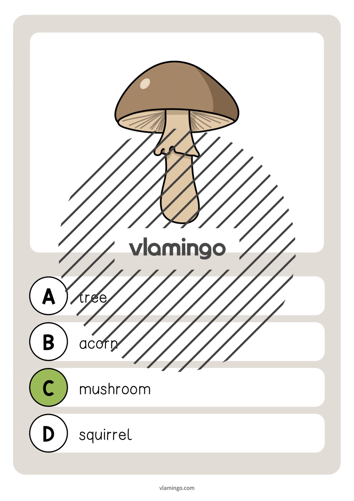 de englisch forest vocabulary quiz 018